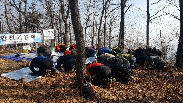 나무 사이에서 다 함께 엎드려 절하는 임직원들